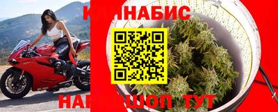 трава Нальчик