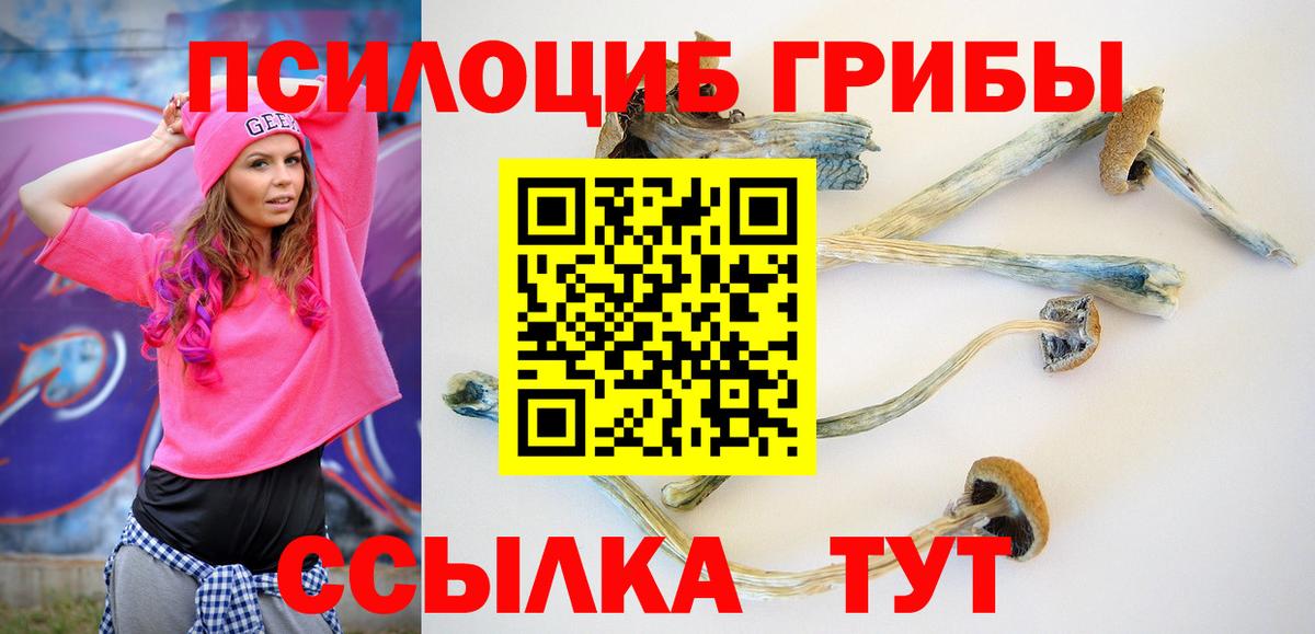 Псилоцибиновые грибы MAGIC MUSHROOMS  Вход с VPN  Псилоцибиновые грибы GOLDEN TEACHER  Усть-Джегута 