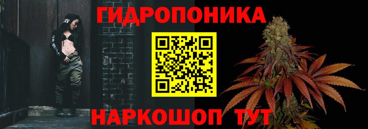 Канабис планчик  Вход с VPN  Бошки Шишки White Widow  Усть-Джегута 